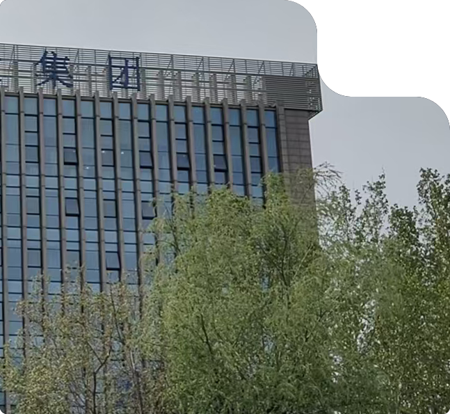 bjwzysp